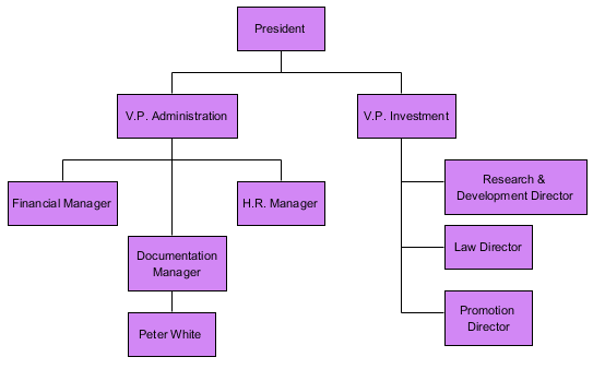 Organization chart sample