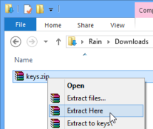 Extract the license key from zip.