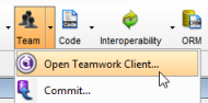 Open Teamwork Client