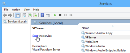 Start VP Server system service