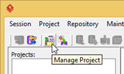Manage Project
