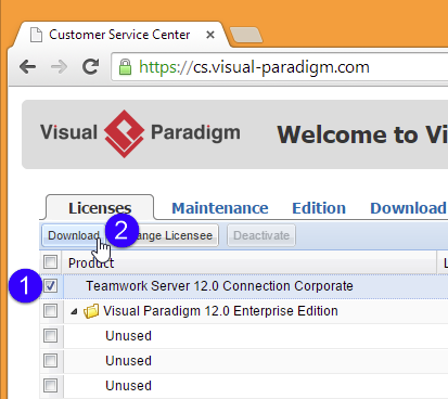 visual paradigm teamwork server download