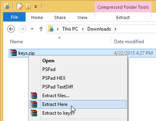 Extract the license key from zip