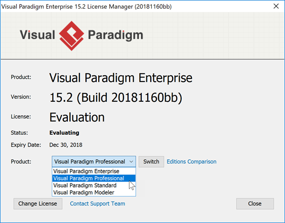 visual paradigm professional edition